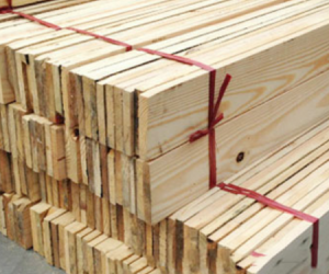 Bán phụ kiện ngành gỗ